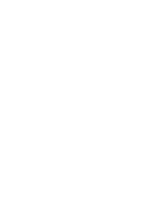 PL Group